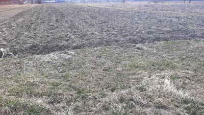 Pozemok na stavbu rodinných domov - Ploské - 1