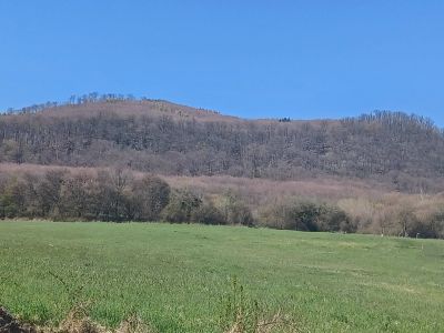 Pozemok na výstavbu rodinných domov - Slanec - 1
