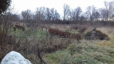 Záhrada - pozemok v Beniakovciach, Košice - okolie - 1