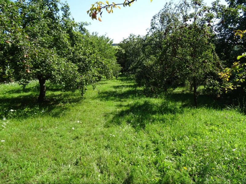 2 - izbový Rodinný dom Fancsal, Maďarsko - 12