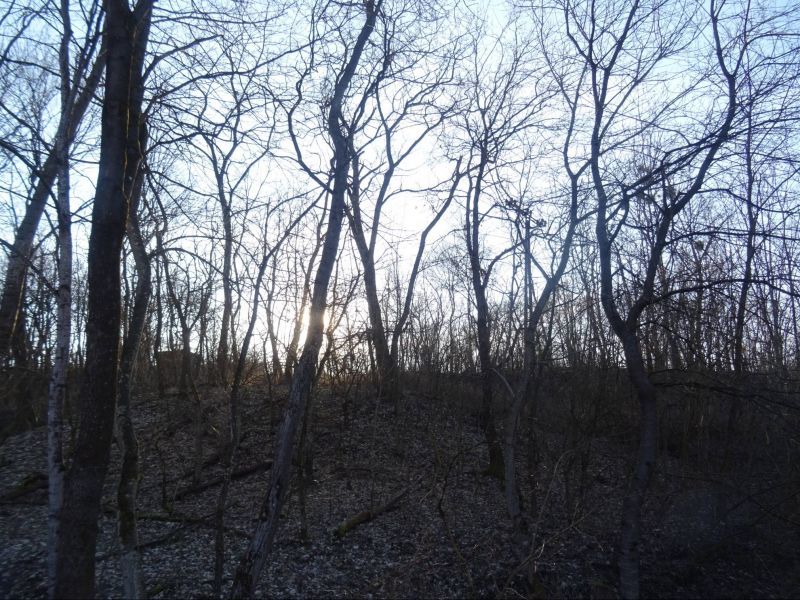 VÝRAZNÁ ZĽAVA - Stavebný pozemok Telkibánya, Maďarsko - 2