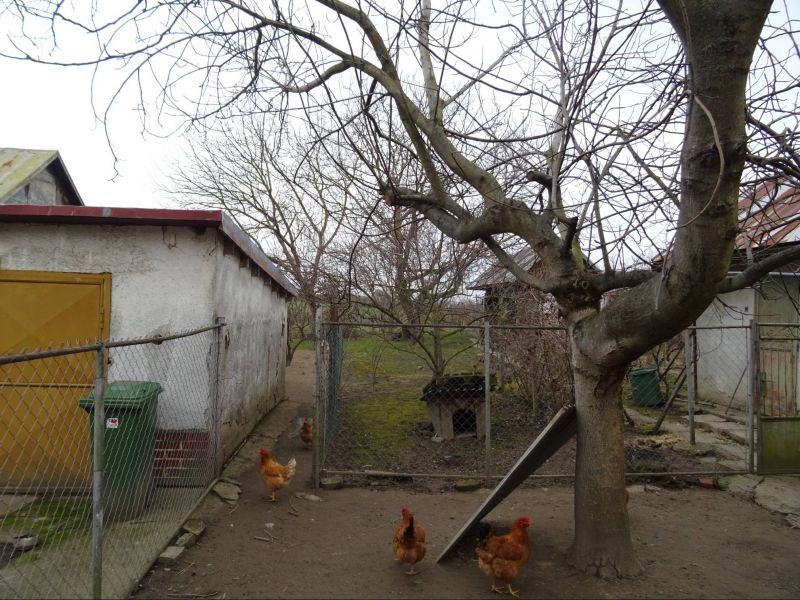 Rodinný dom Pribeník - Slovensko - 12